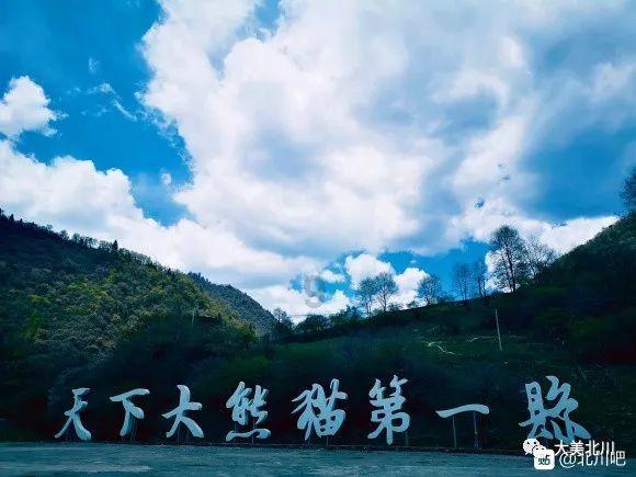 组装机械警暴龙