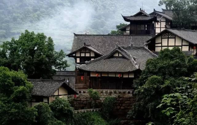 救援受困的火鸡